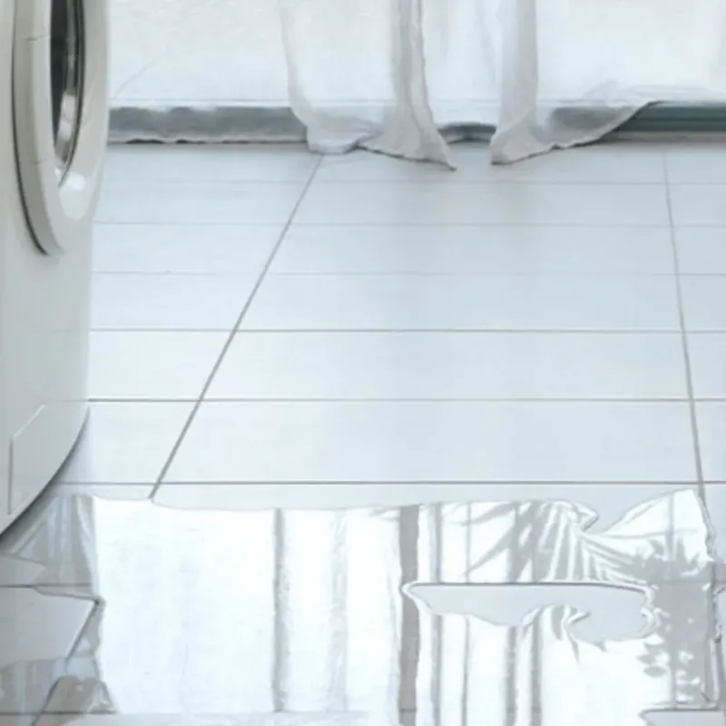 Appliance Leak Cleanup in White Castle, LA
