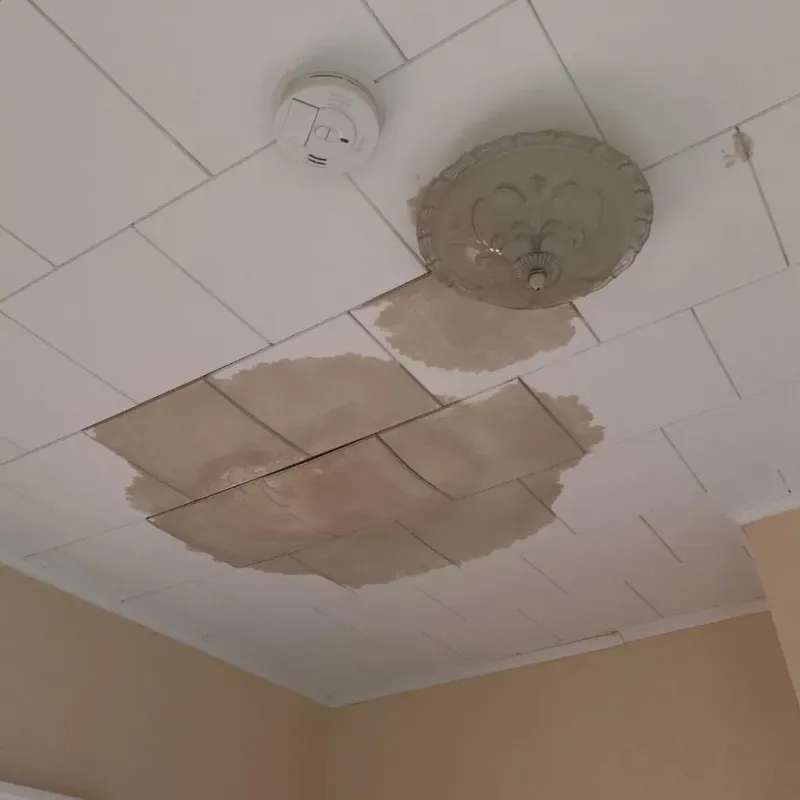 Ceiling Water Damage Repair in White Castle, LA