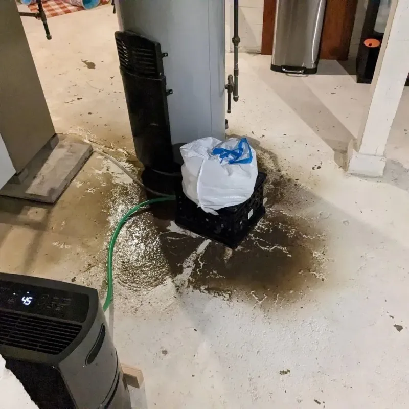 Sewage Backup Cleanup Service in White Castle, LA